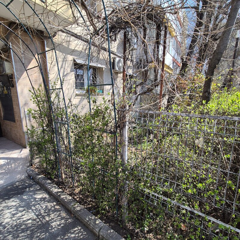 Lacul Tei, Parcul Circului